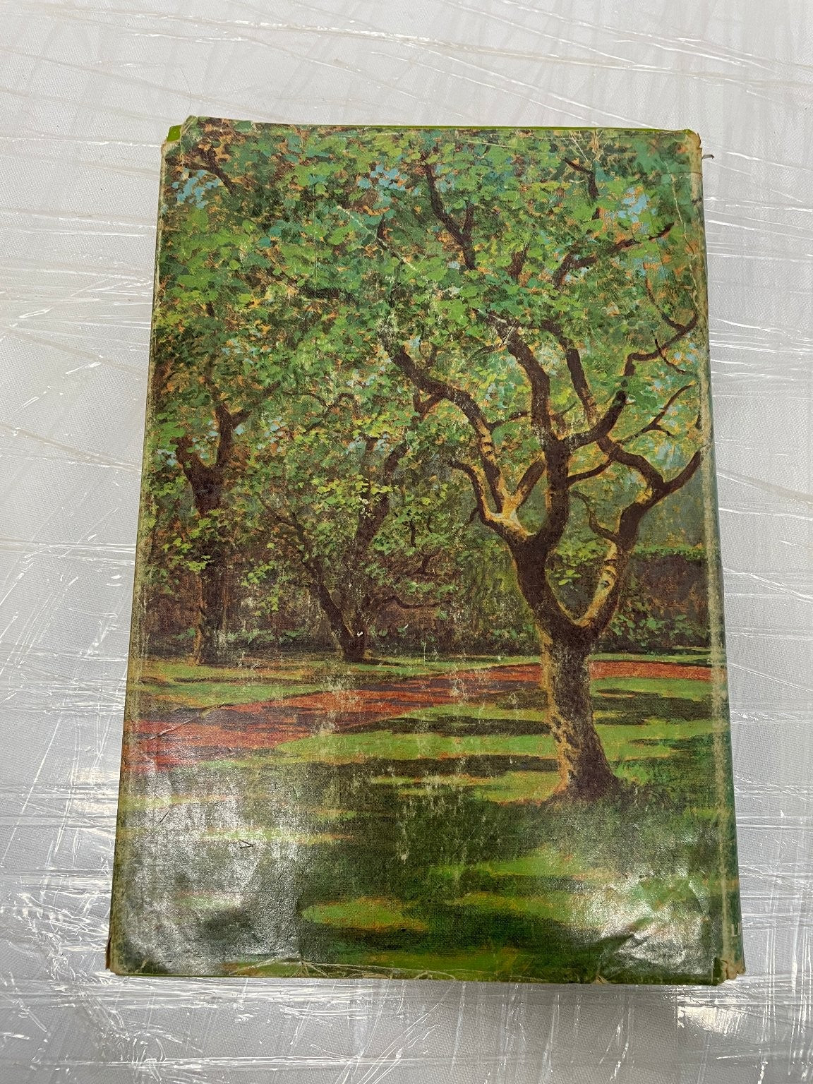 Maria by Eugenia Price First Edition 1977 Historical Novel 2nd print