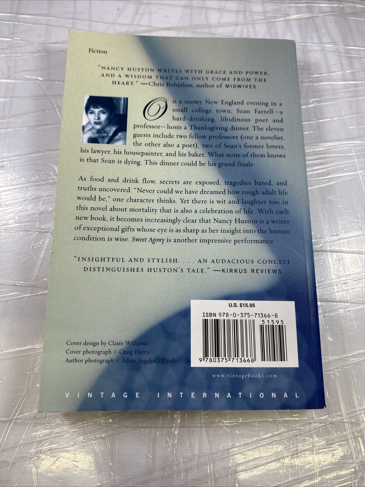 Sweet Agony: A Novel (Vintage International) NANCY HUSTON paperback- Very Good
