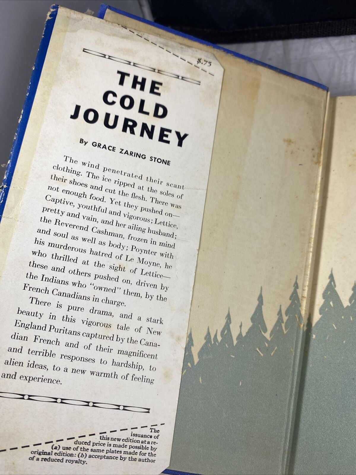 Fiction: THE COLD JOURNEY by Grace Zaring Stone. 1934. 1st edition. Vintage 30s