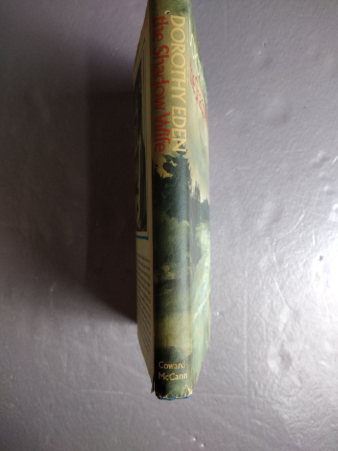 The Shadow Wife Dorothy Eden 1971 First Edition Gothic Suspense Coward-McCann