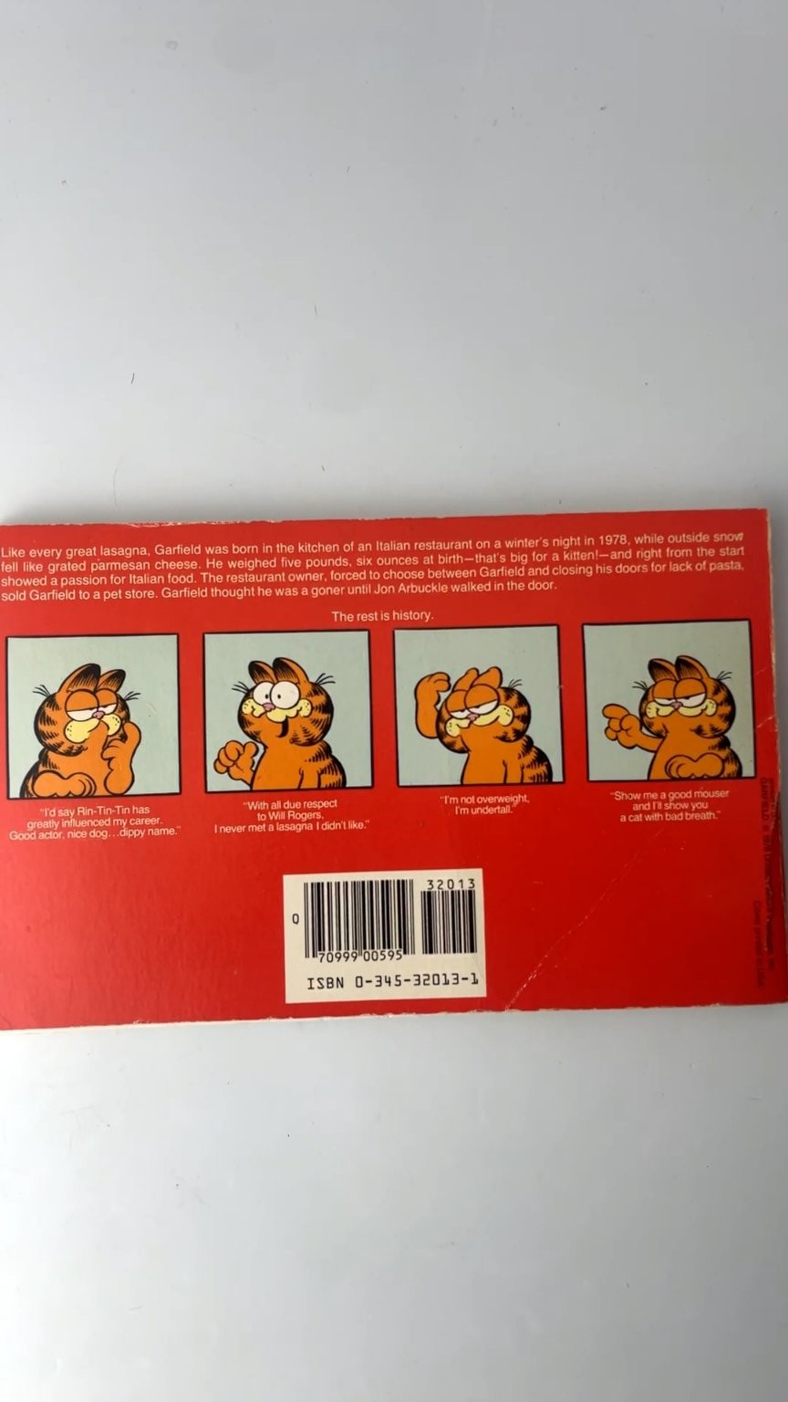 Garfield at Large by Jim Davis First Edition 1980 Illustrated