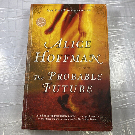 THE PROBABLE FUTURE by Alice Hoffman Paperback Book Fiction Novel