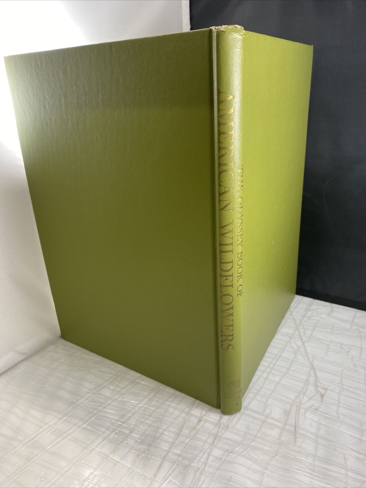 The Odyssey Book of AMERICAN WILDFLOWERS by H.W. Rickett 60s Vintage Pictures