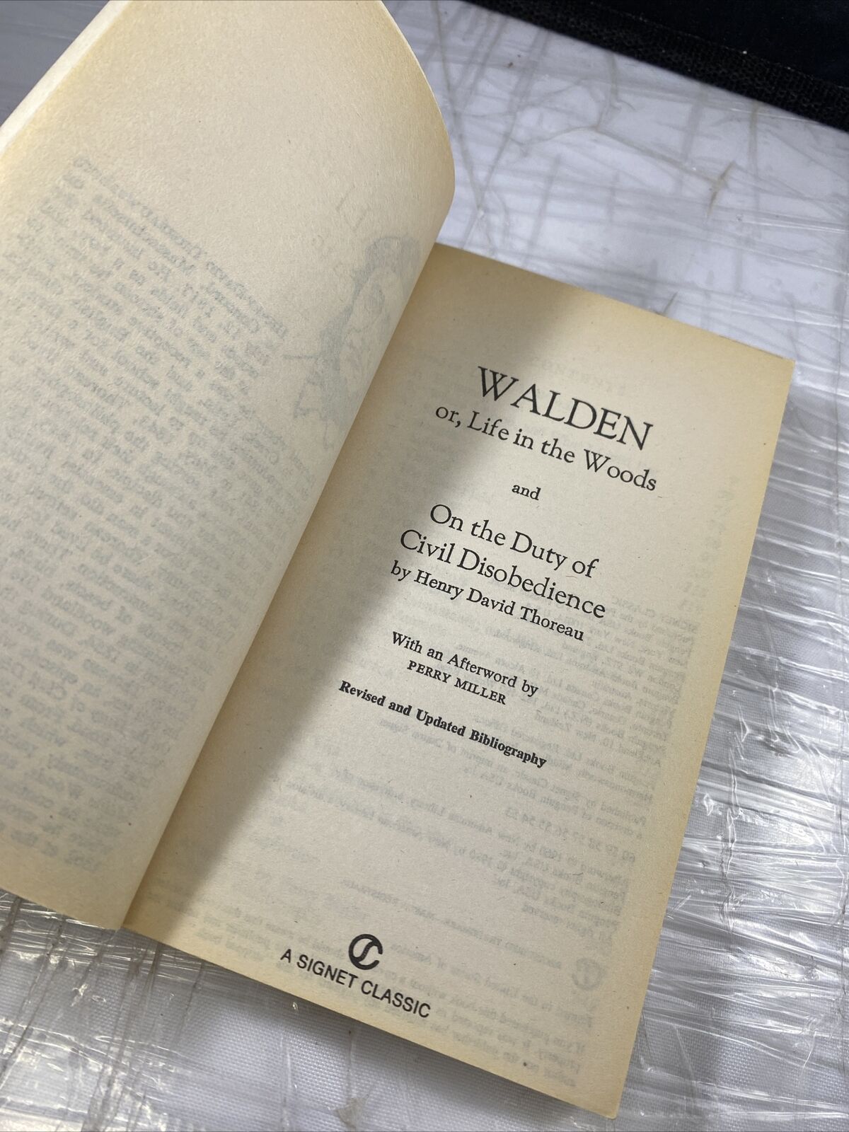 Walden and On the Duty of Civil Disobedience: 1980 PB by Henry David Thoreau