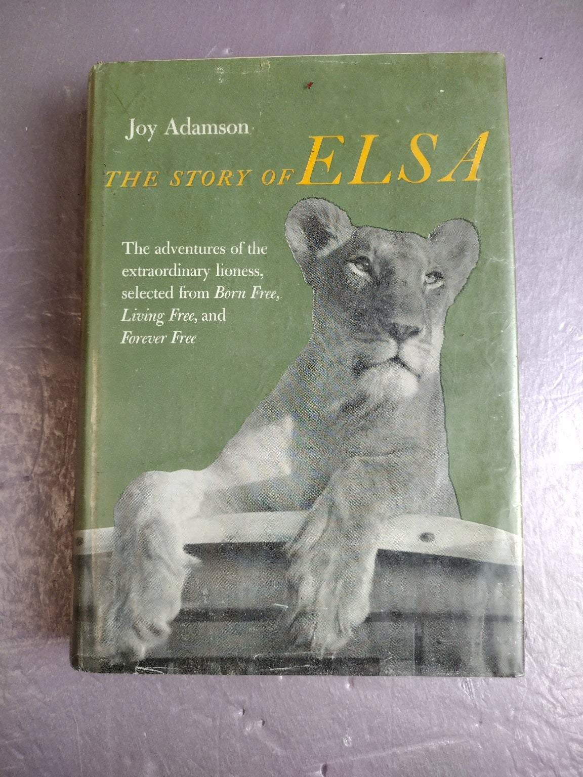 The Story of Elsa Joy Adamson 1966 Hardcover Wildlife Biography Africa Harcourt