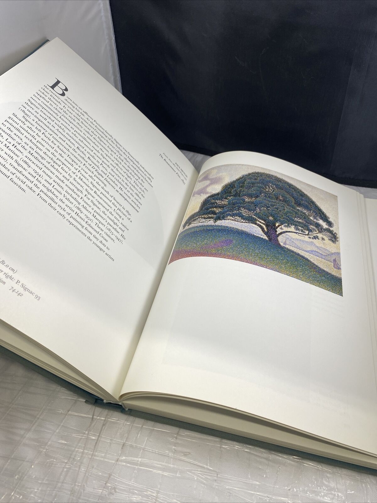 The Museum of Fine Arts, Houston : A Permanent Legacy Hardcover Vintage Art