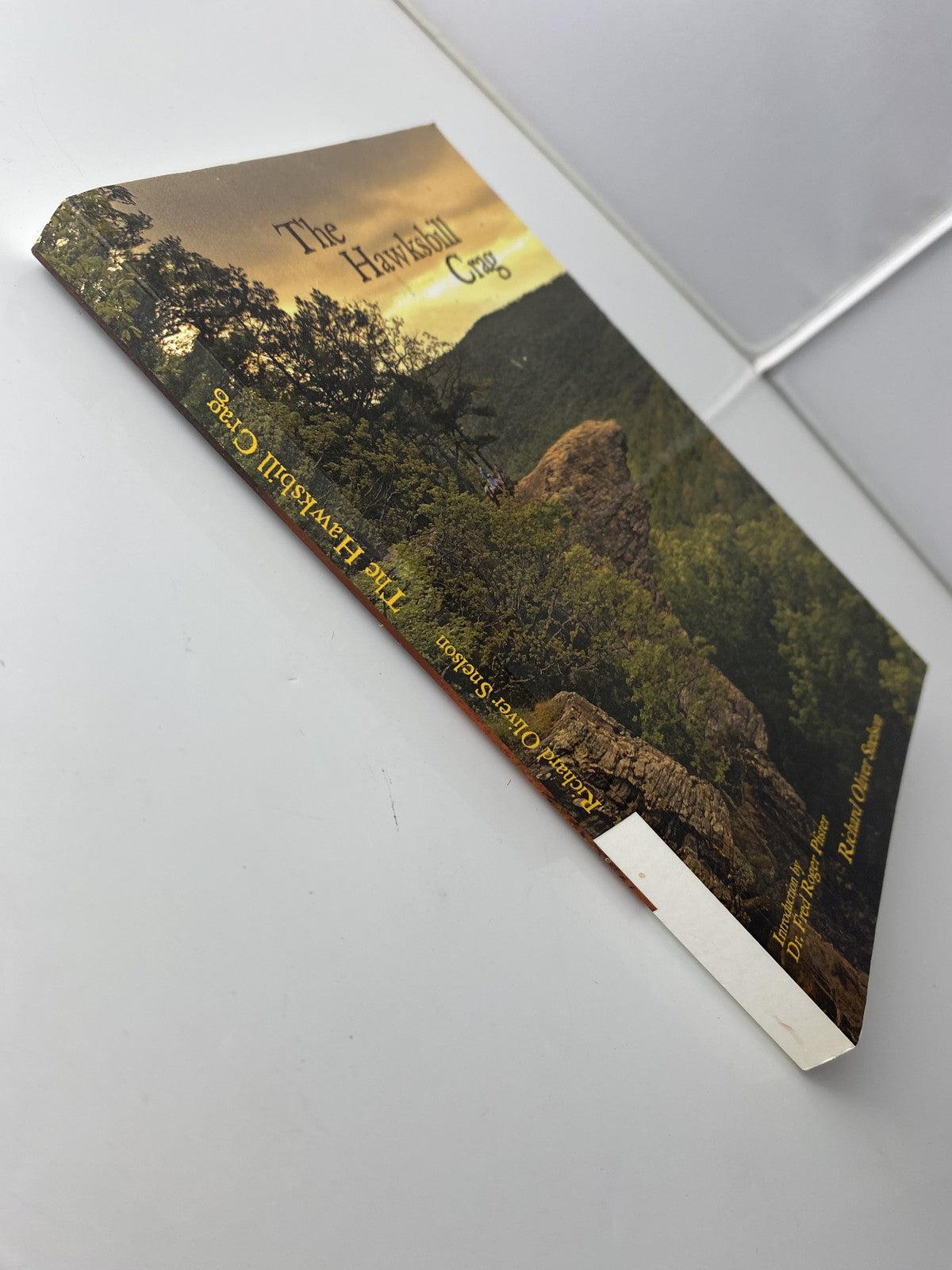 The Hawksbill Crag Richard Oliver Snelson Signed Historical Fiction Book Softcov