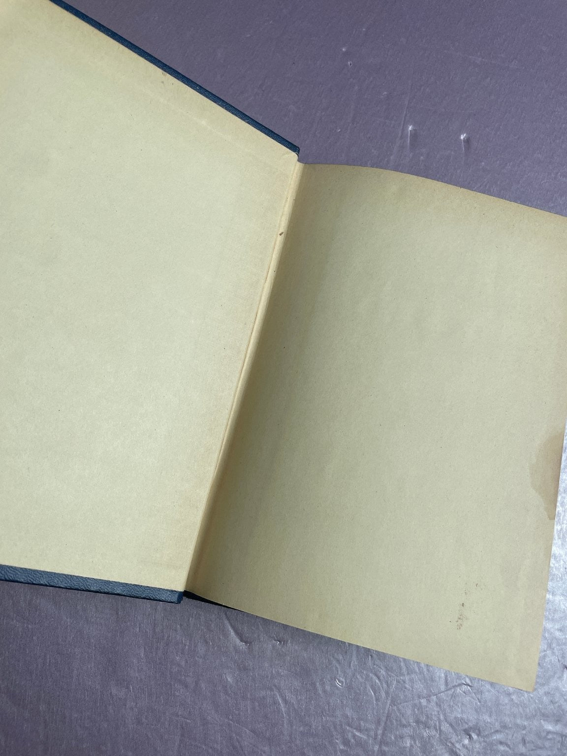 Bedelia Vera Caspary 1945 First Edition Novel Mystery Hardcover