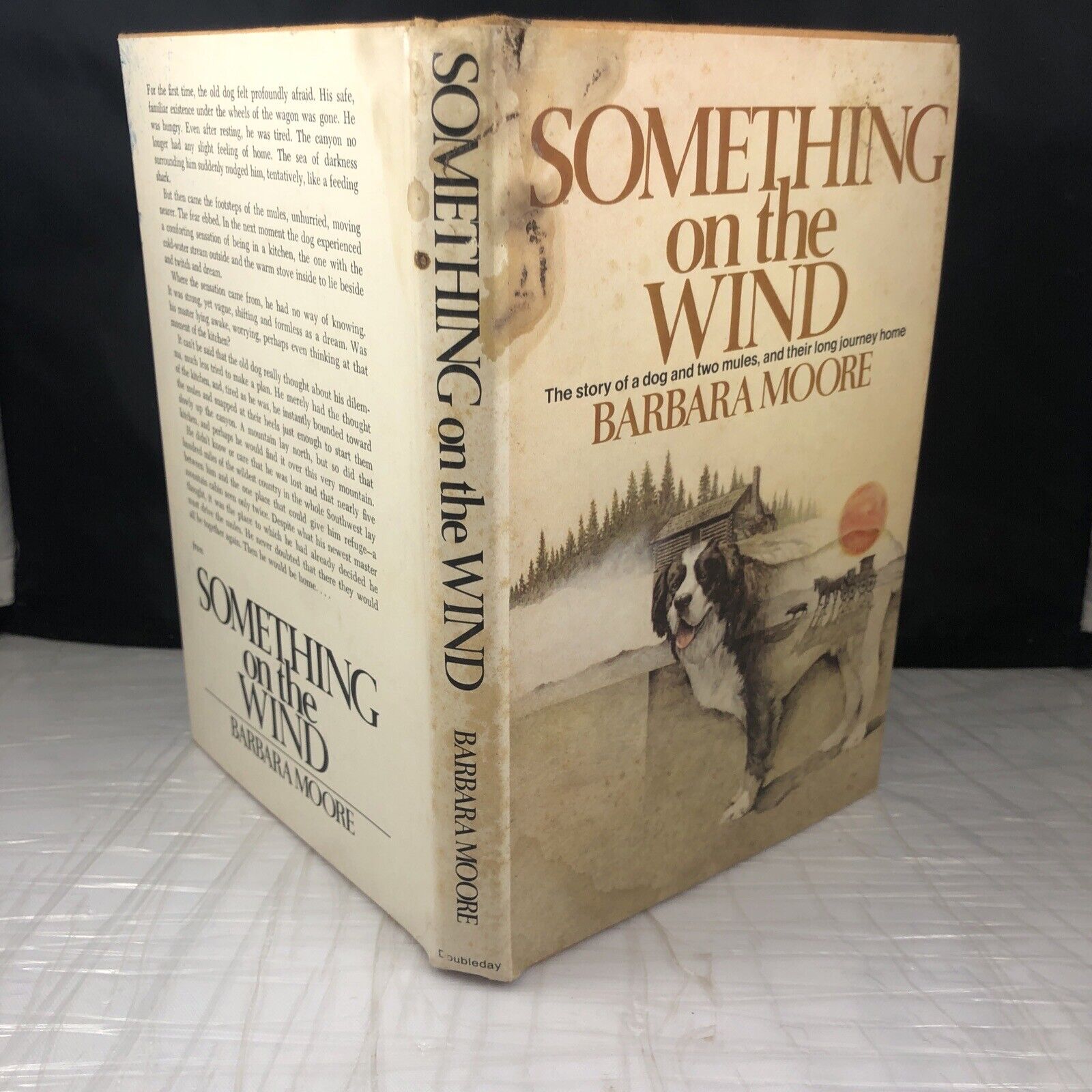 Something On The Wind by Barbara Moore 1970s Vintage Fiction First Edition