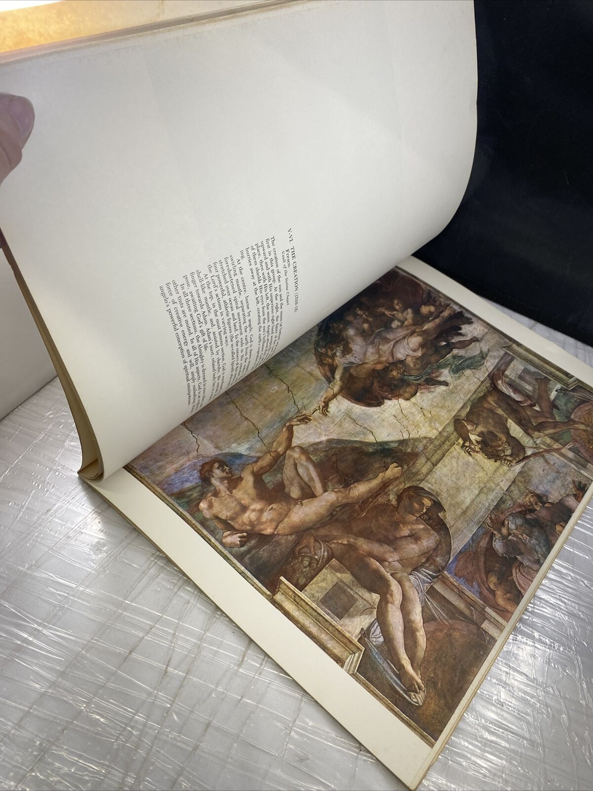 The Great Artists A Library Of Their Lives Times And Paintings Michelangelo 5