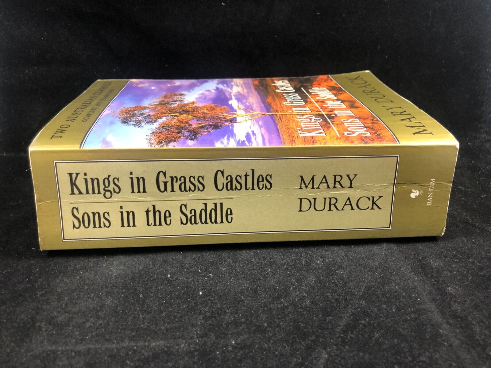 Australian Novels Sons In The Saddle AND Kings in Grass Castles Mary Durack