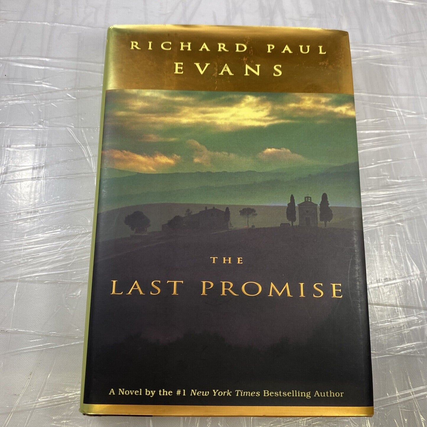 The Last Promise - Richard Paul Evans 0525946969 Hardcover Very Good BCE