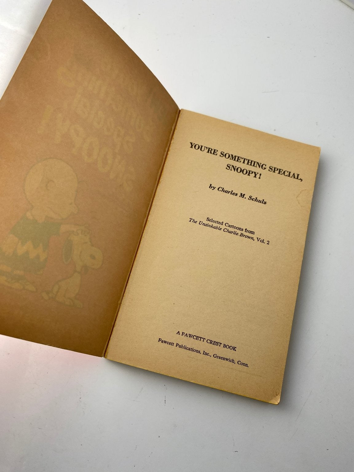 You're Something Special Snoopy by Charles M. Schulz 1972 Cartoon Book