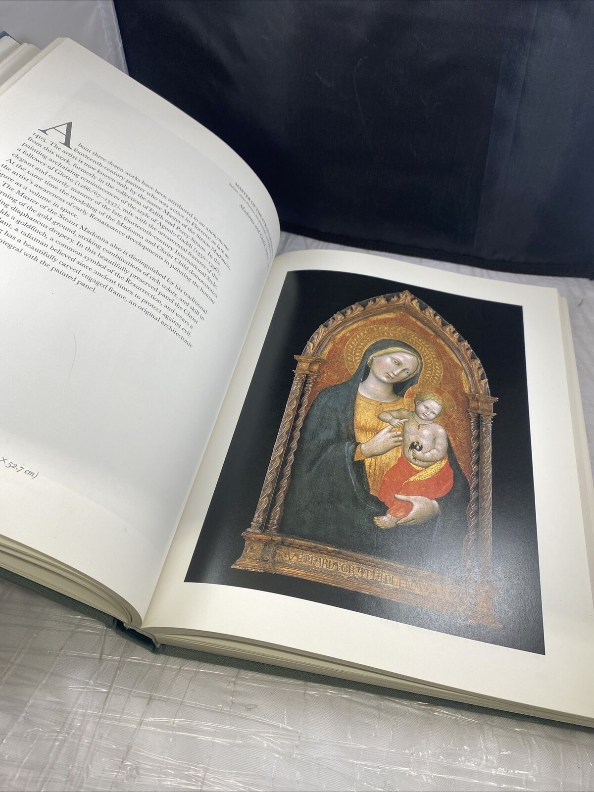 The Museum of Fine Arts, Houston : A Permanent Legacy Hardcover Vintage Art