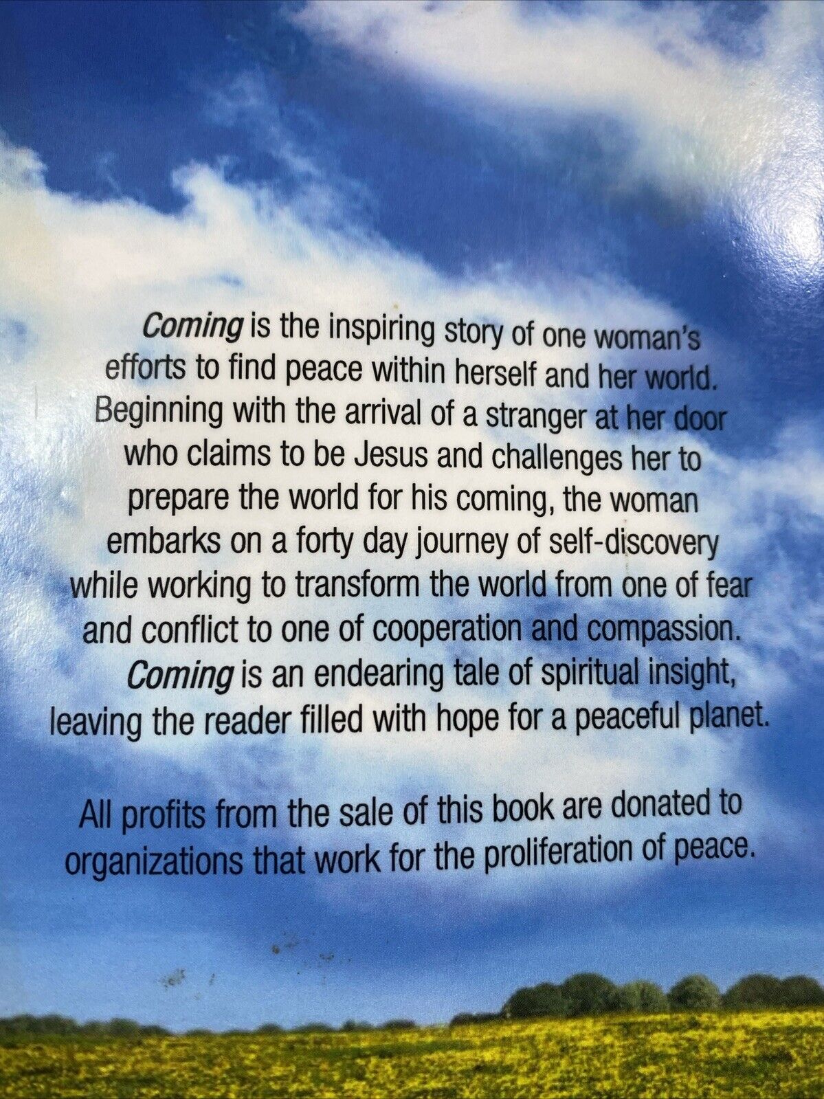 Coming Rare Signed Fiction Novel Local Author Susan Marting Paperback Good