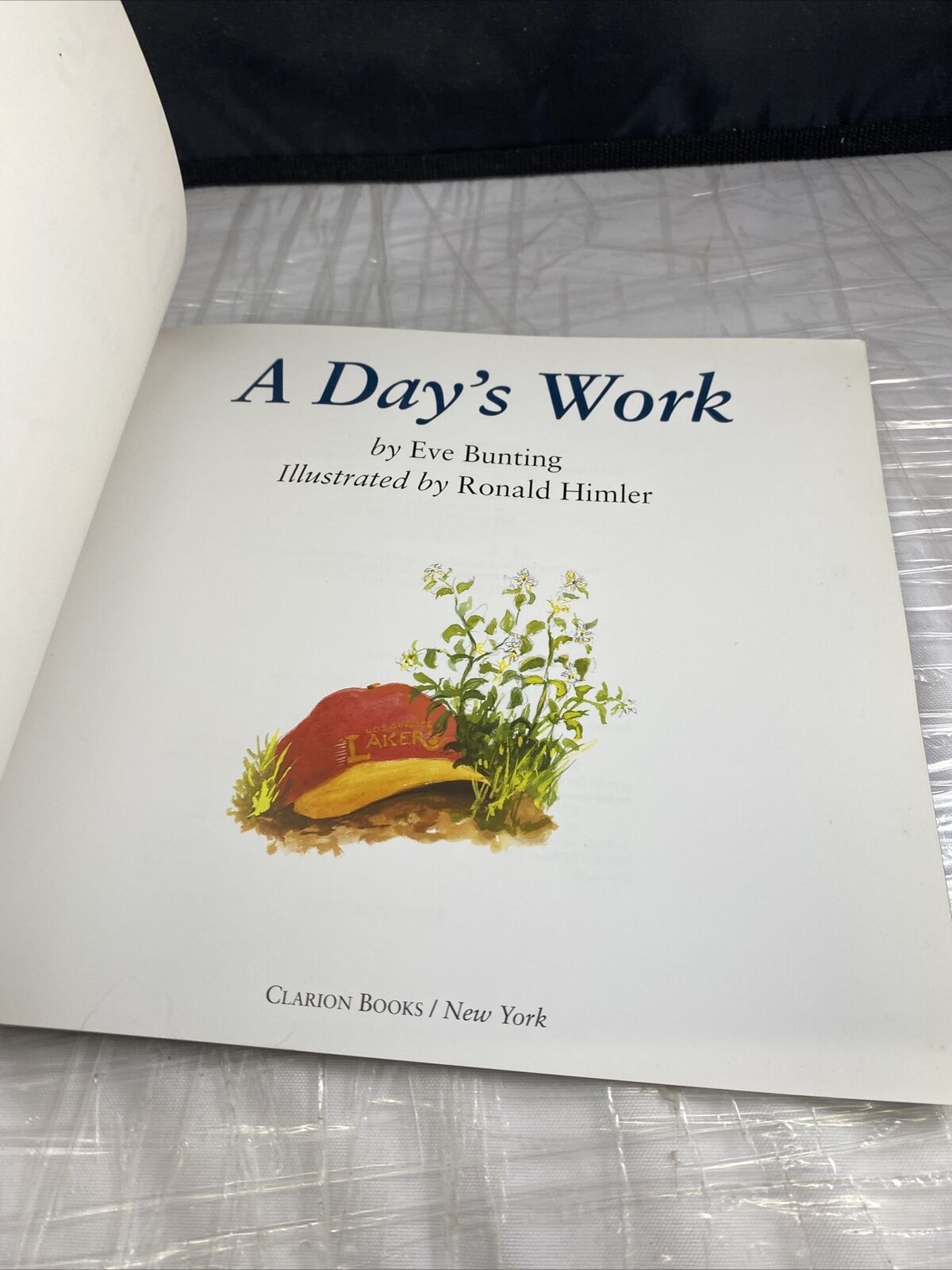 A Day's Work Illustrated Kids Book Eve Bunting Ronald Hunker Paperback