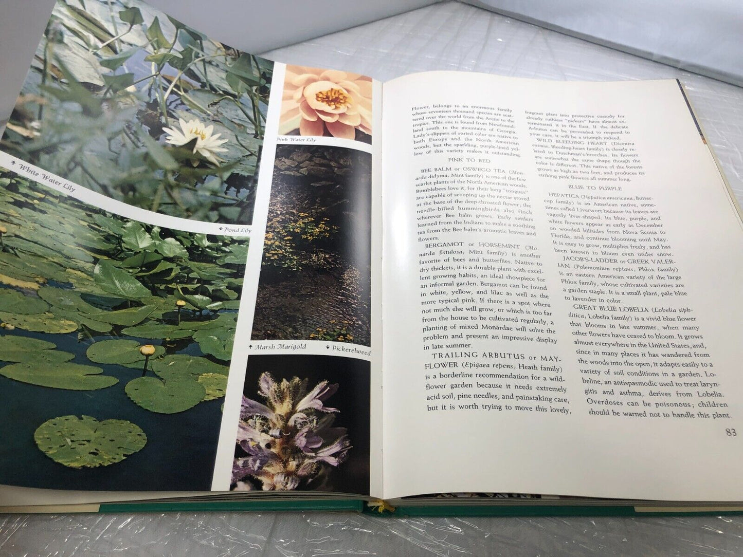 The History the Beauty the Riches of The Gardener's World Von Miklos Fiore 1962