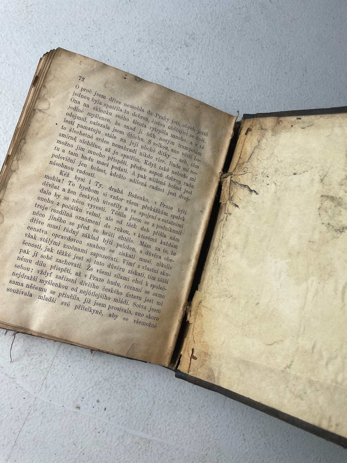 Z let probuzení Kniha První Bohuslava Rajská 1872 J. Otto Czech Memoirs