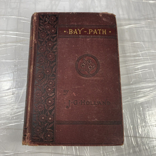 1891 Print Of The Bay Path New England Colonial Life Holland historical Fiction