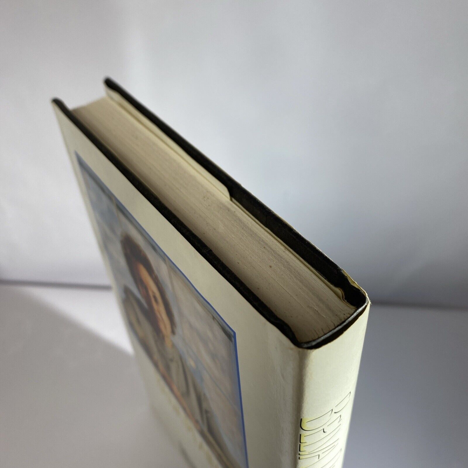 The Carousel by Belva Plain (1995, Hardcover w/DJ) NICE Book Club Edition Clean