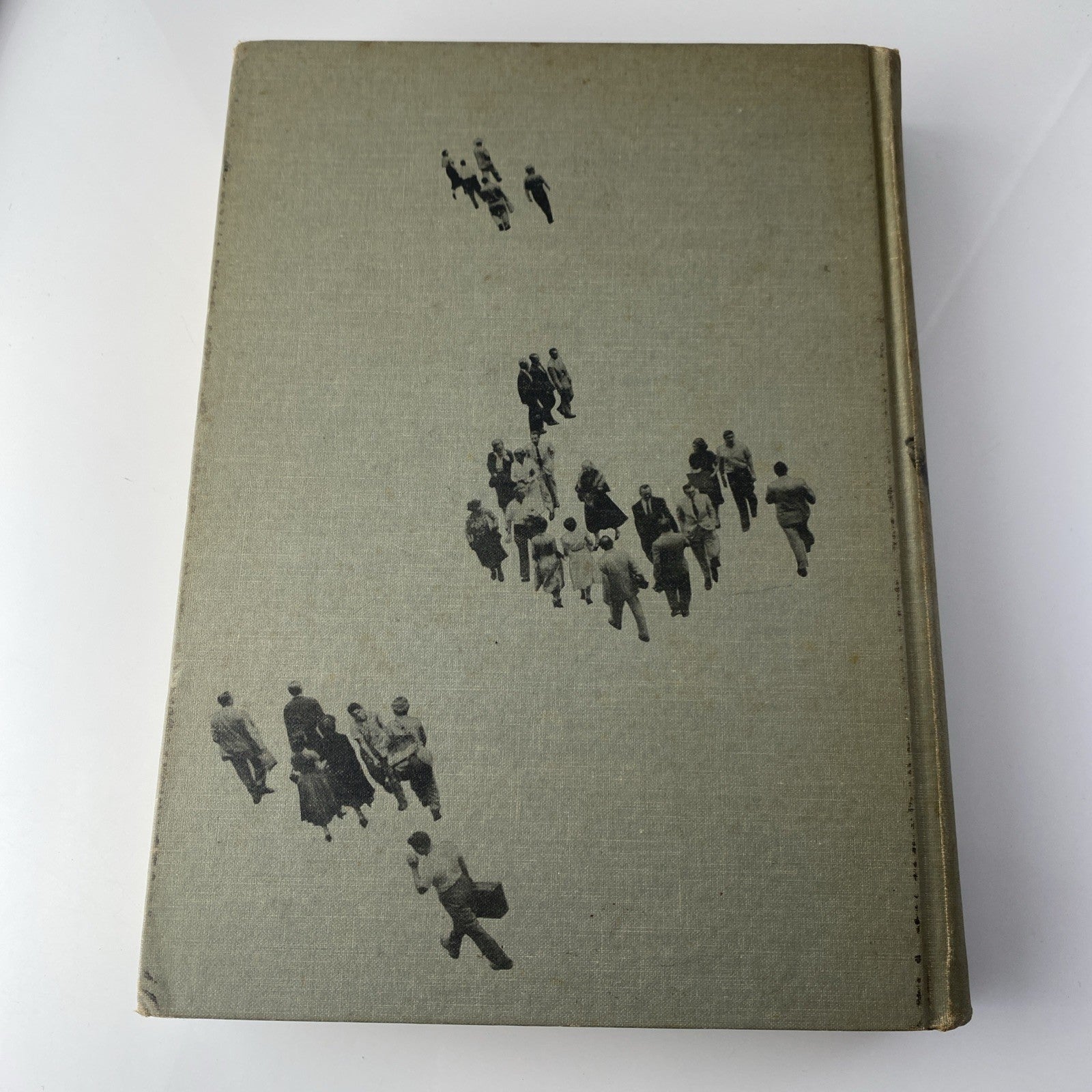 Vintage 60s Sociology History Textbook 1965 Society and Man 7th Edition