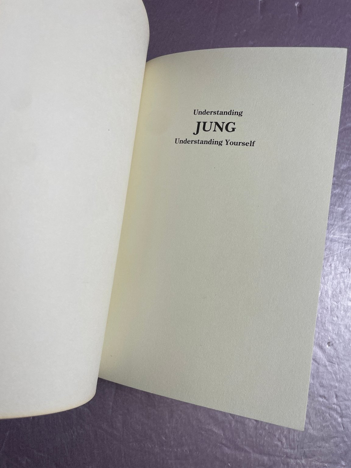 UNDERSTANDING JUNG, UNDERSTANDING YOURSELF Peter O'Connor 1985 Psychology