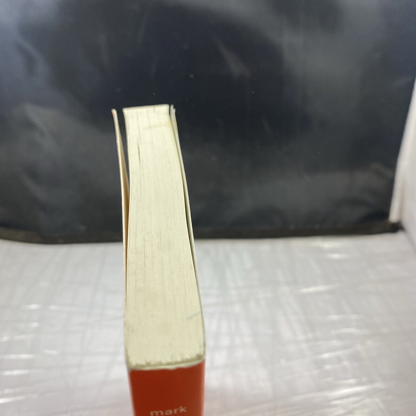 “The Curious Incident of the Dog in the Night-Time” Paperback Book Unmarked