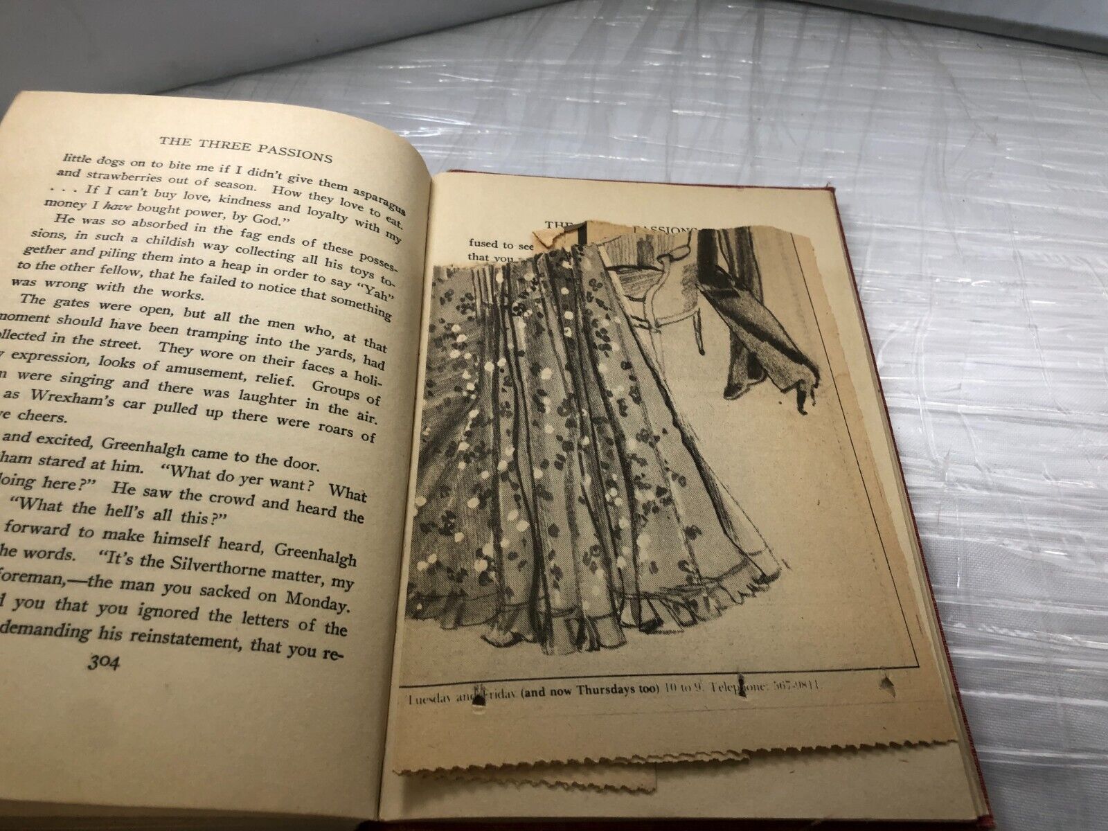 Rare antique book The THREE PASSIONS by Cosmo Hamilton, 1928 1st Edition