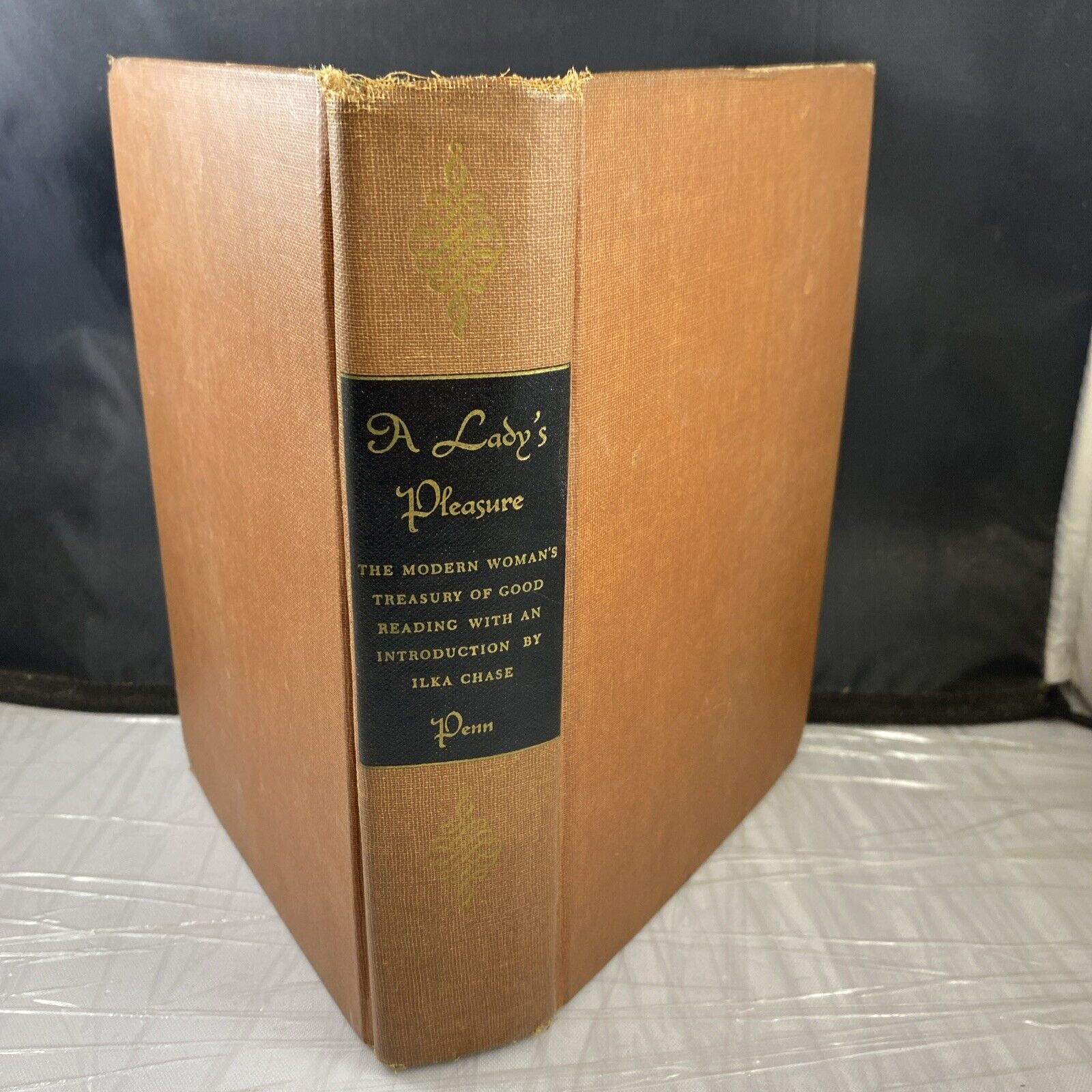 A Lady's Treasure by Ilka Chase 1946 WM Penn Publishing Vintage Literature Rare!