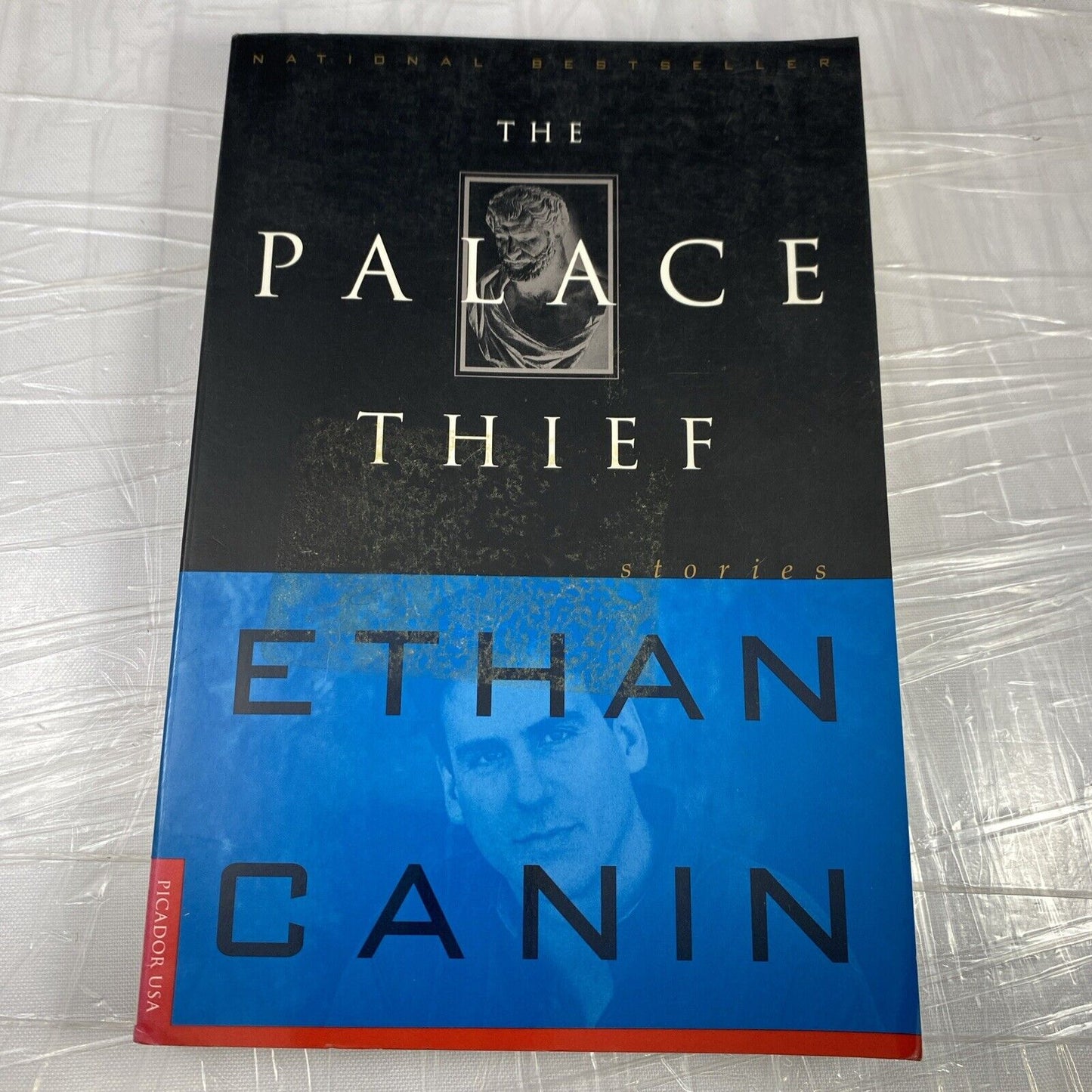 The Palace Thief : Stories by Ethan Canin (1995, Trade Paperback)