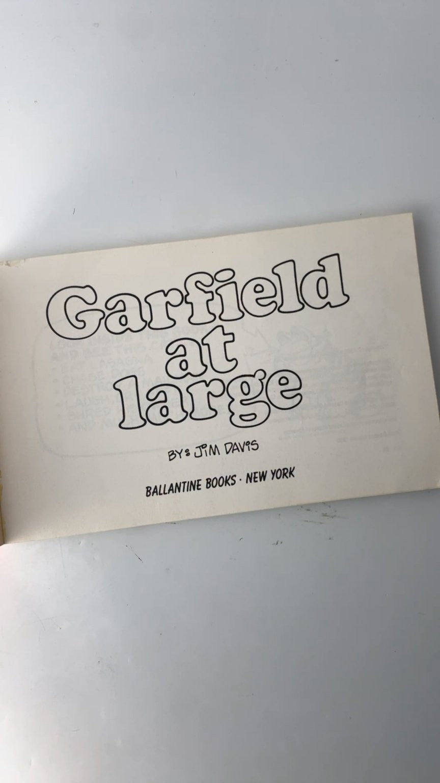 Garfield at Large by Jim Davis First Edition 1980 Illustrated