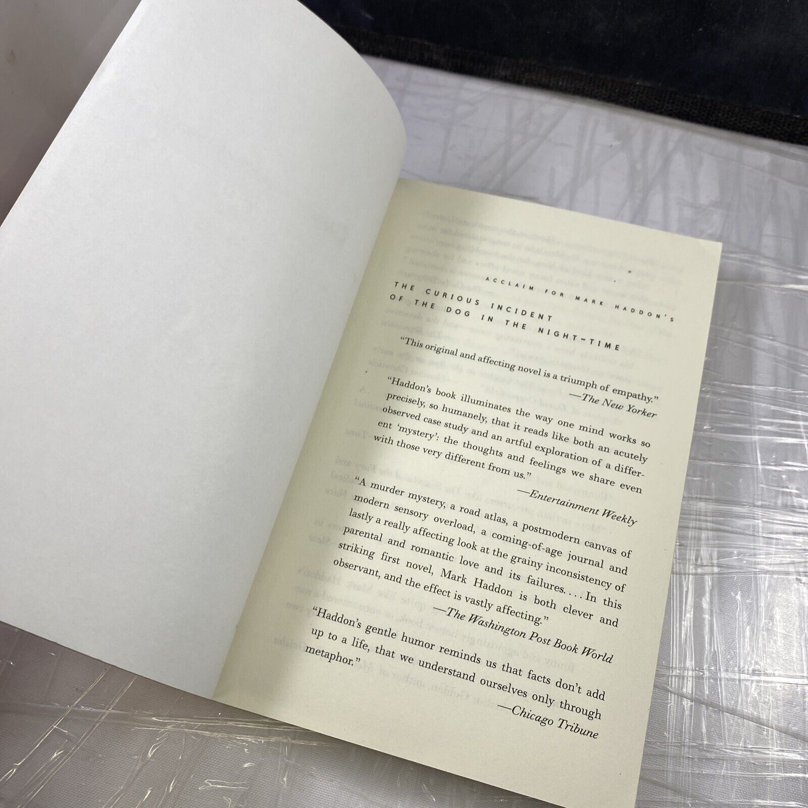 “The Curious Incident of the Dog in the Night-Time” Paperback Book Unmarked