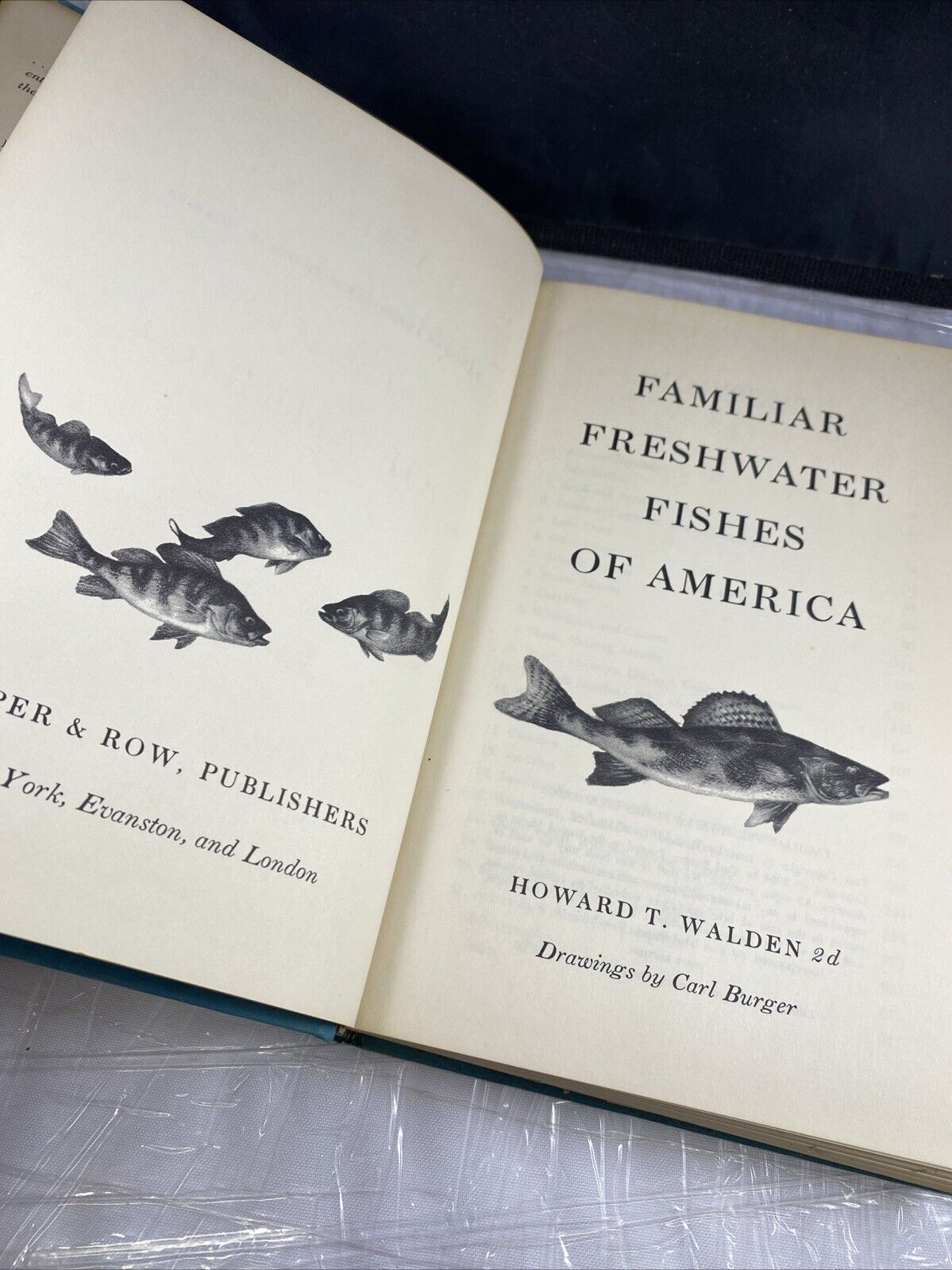 Familiar Freshwater Fishes of America By Howard T. Walden, 2d, 1964 1ST. EDITION