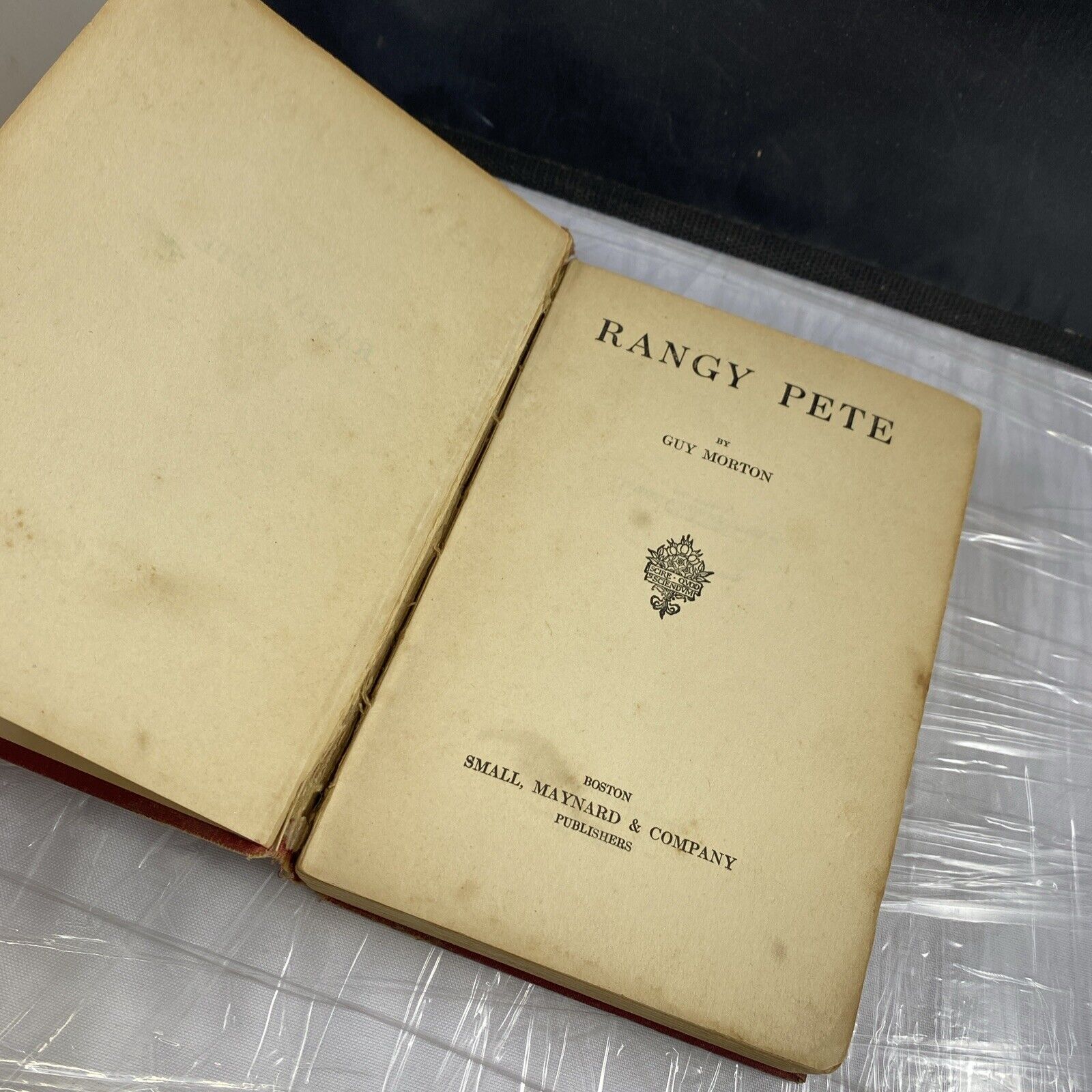 Guy Morton RANGY PETE Small Maynard & Co. 1922 ANTIQUE Historical Fiction Novel