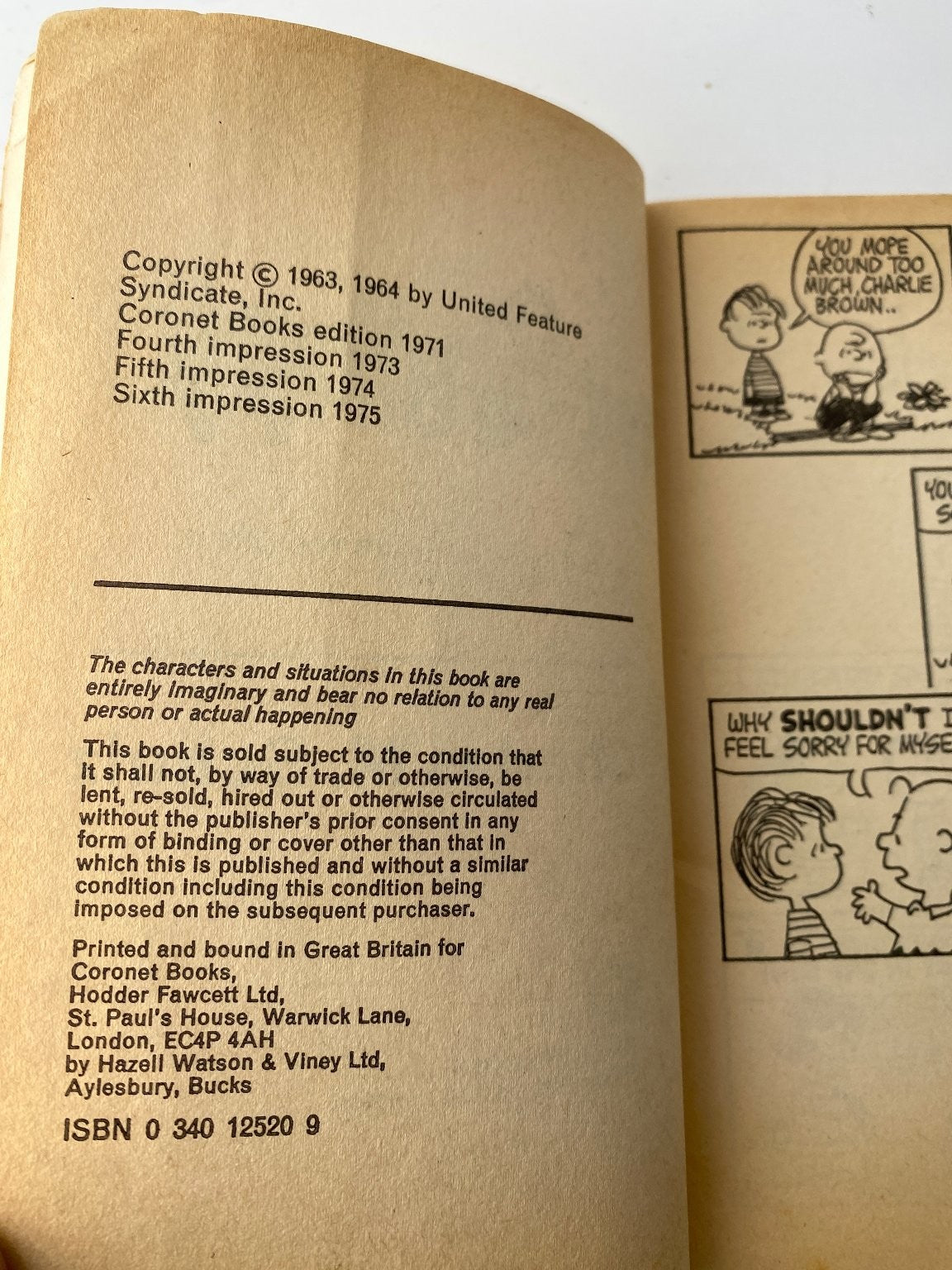 Charlie Brown and Snoopy by Charles M. Schulz 1971 Illustrated Edition