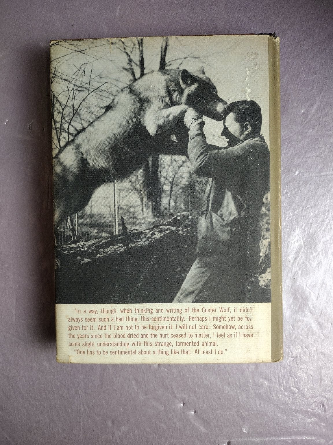 The Custer Wolf Roger A. Caras 1966 First Edition Illustrated Biography Little