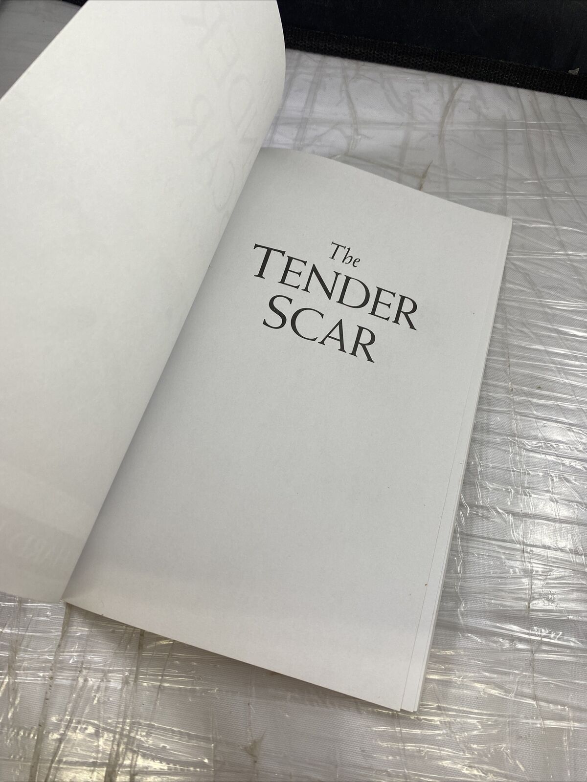 The Tender Scar Life After the Death of a Spouse, Richard Mabry Self Help Grief