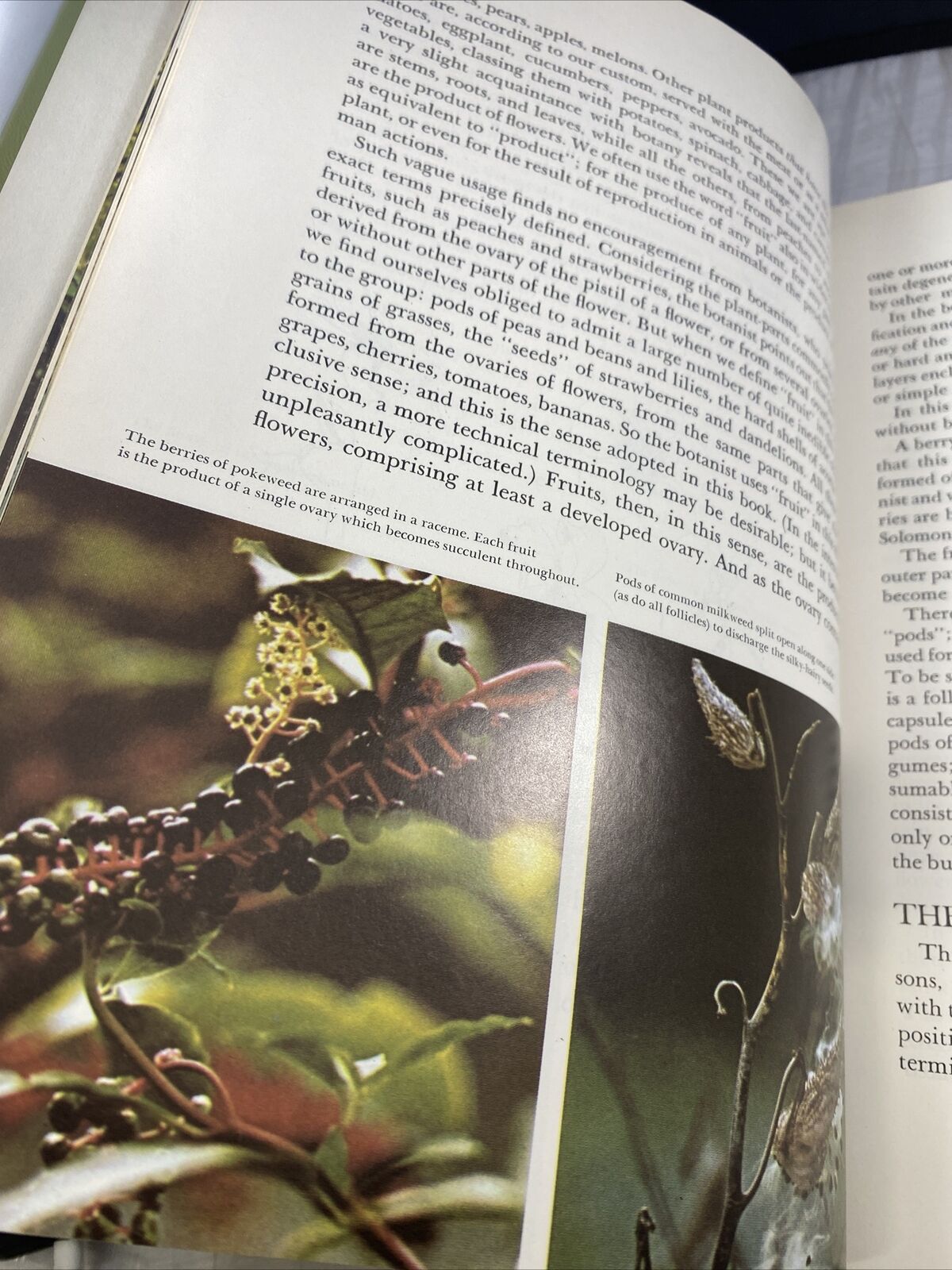 The Odyssey Book of AMERICAN WILDFLOWERS by H.W. Rickett 60s Vintage Pictures