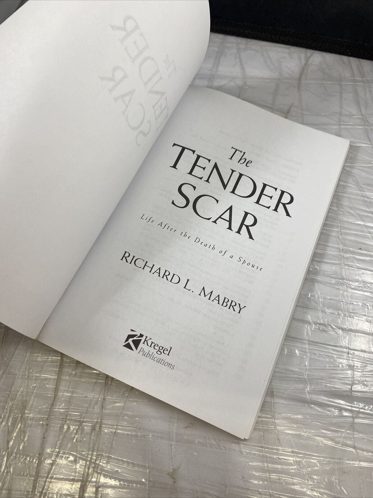 The Tender Scar Life After the Death of a Spouse, Richard Mabry Self Help Grief