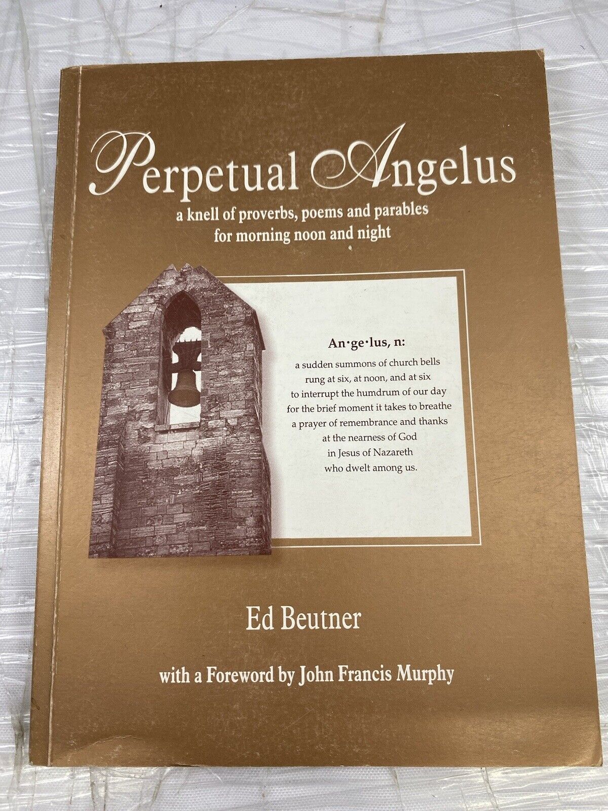 Season's Readings Perpetual Angelus By Ed Beutner SIGNED BY AUTH Lot 2 Poetry Pp