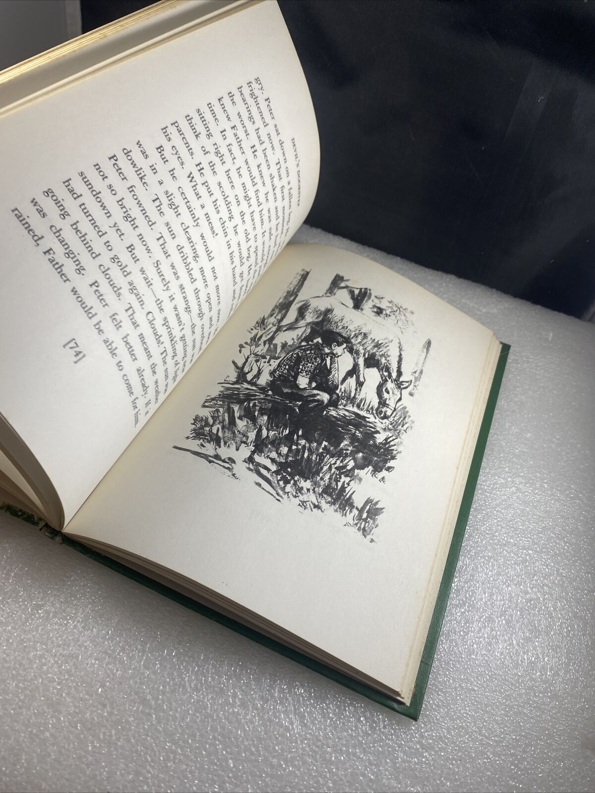 Devil's Doorstep by Marian Rumsey Weekly Reader Vintage 60s Kids Chapter Book