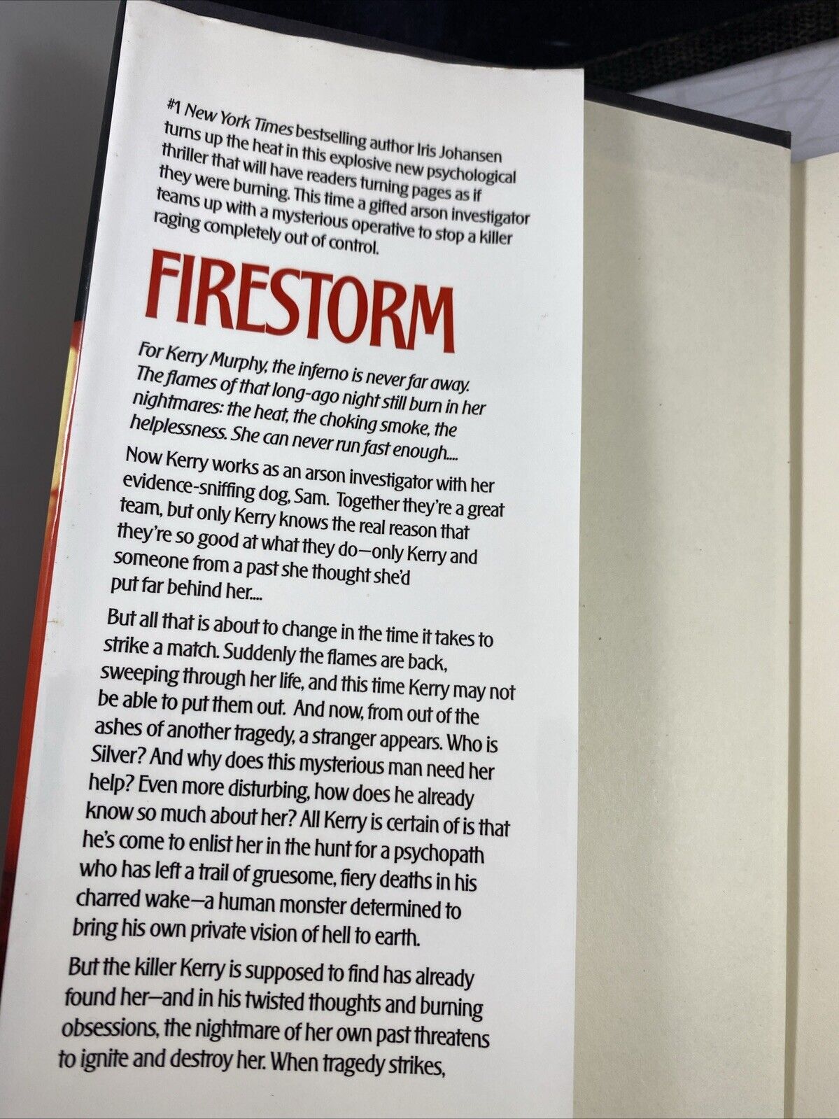 Firestorm - Hardcover By Iris Johansen GOOD UNMARKED