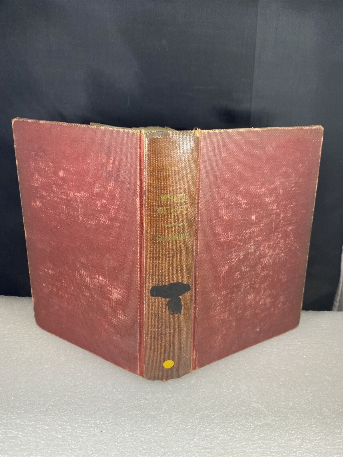 The Wheel of Life Ellen Glasgow First Ed 1906 Doubleday Antique Ex Lib Rare See