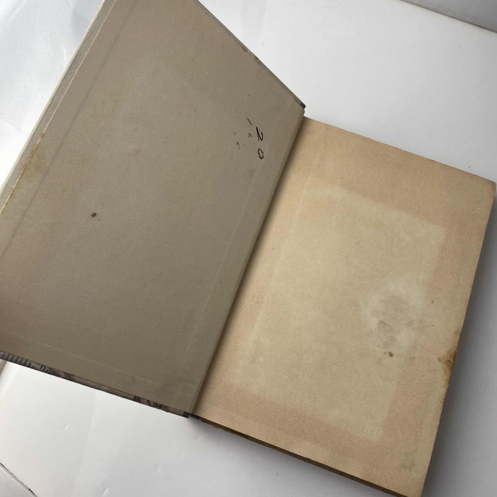 Jack Roostand 1909 Hermann Zagel Rare St Louis Published German Louis Lange