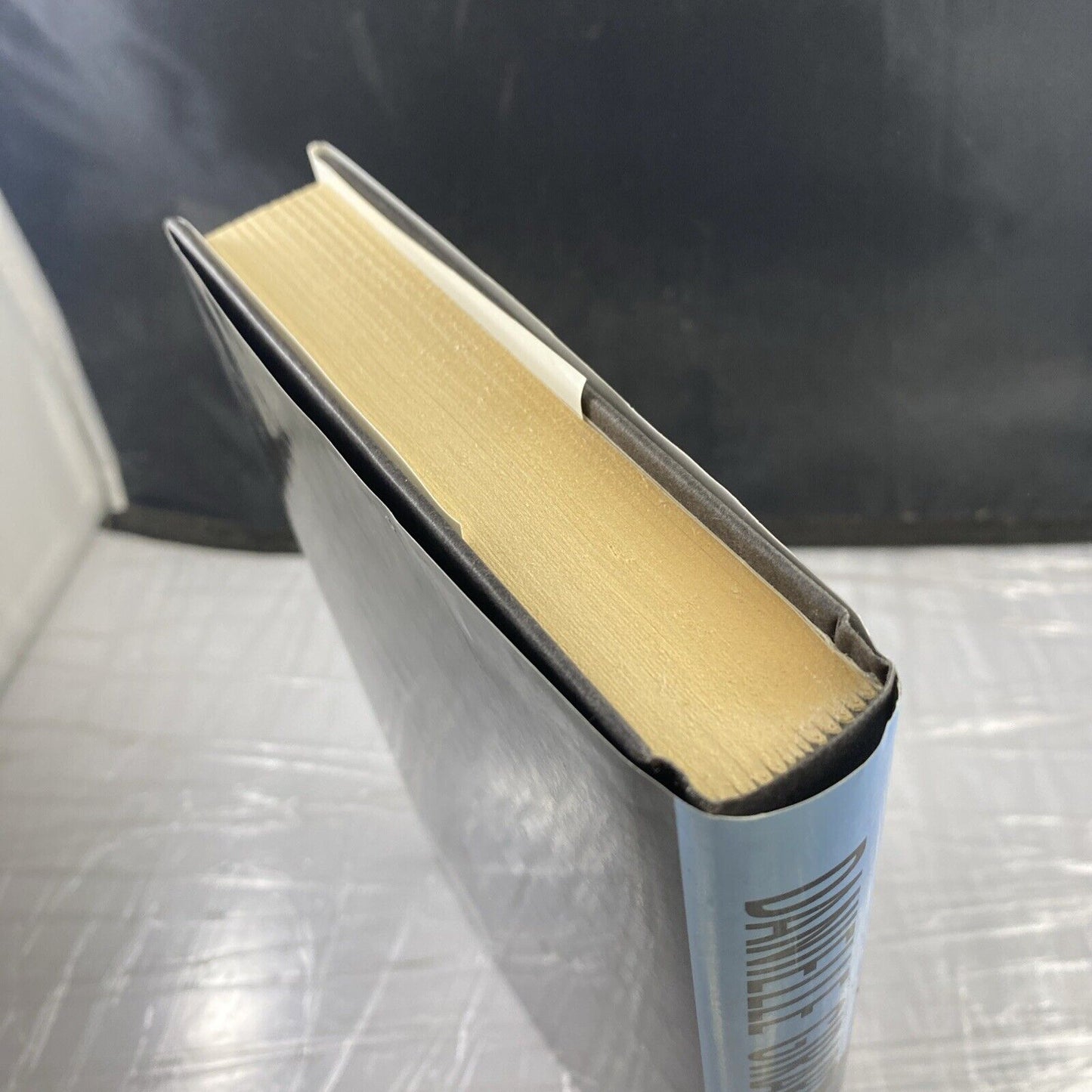 Chasing Darkness - Hardcover By Danielle Girard - VERY GOOD Onyx Book Club Ed