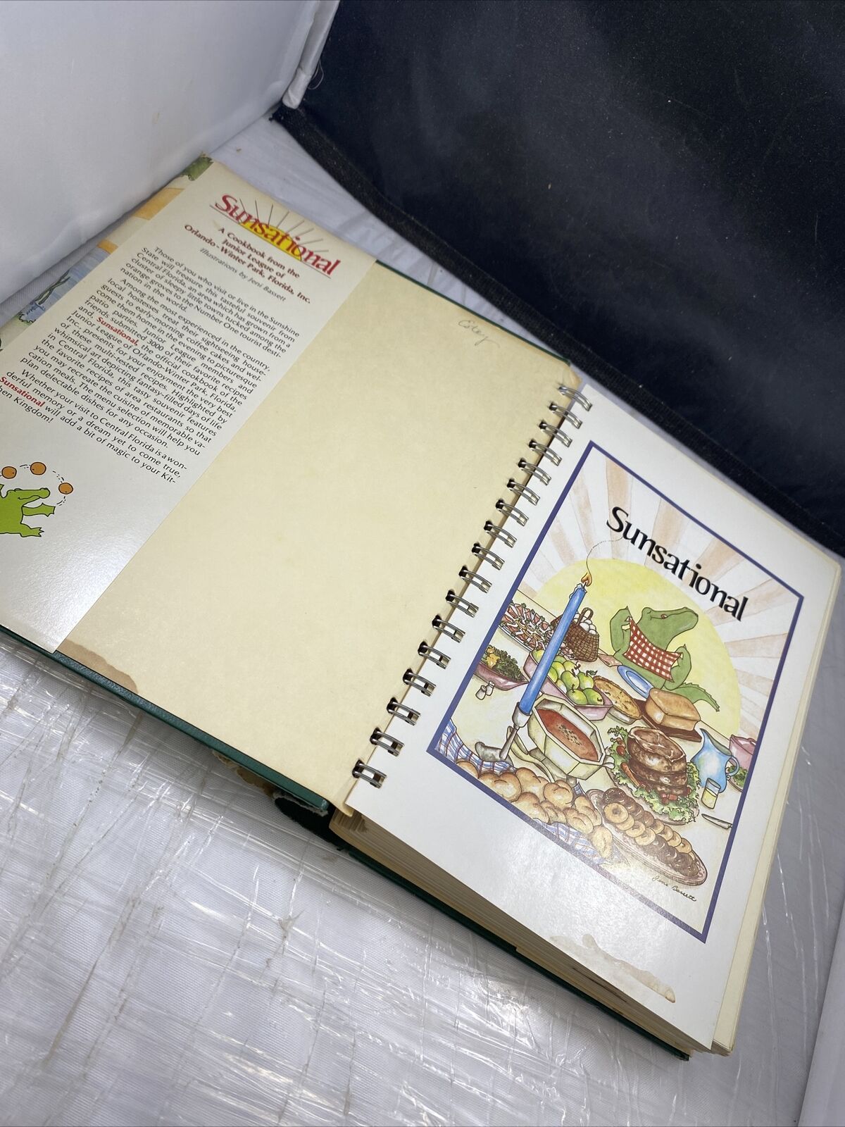 SUNSATIONAL A Cookbook by the Junior League of Orlando Vintage 80s First Print!