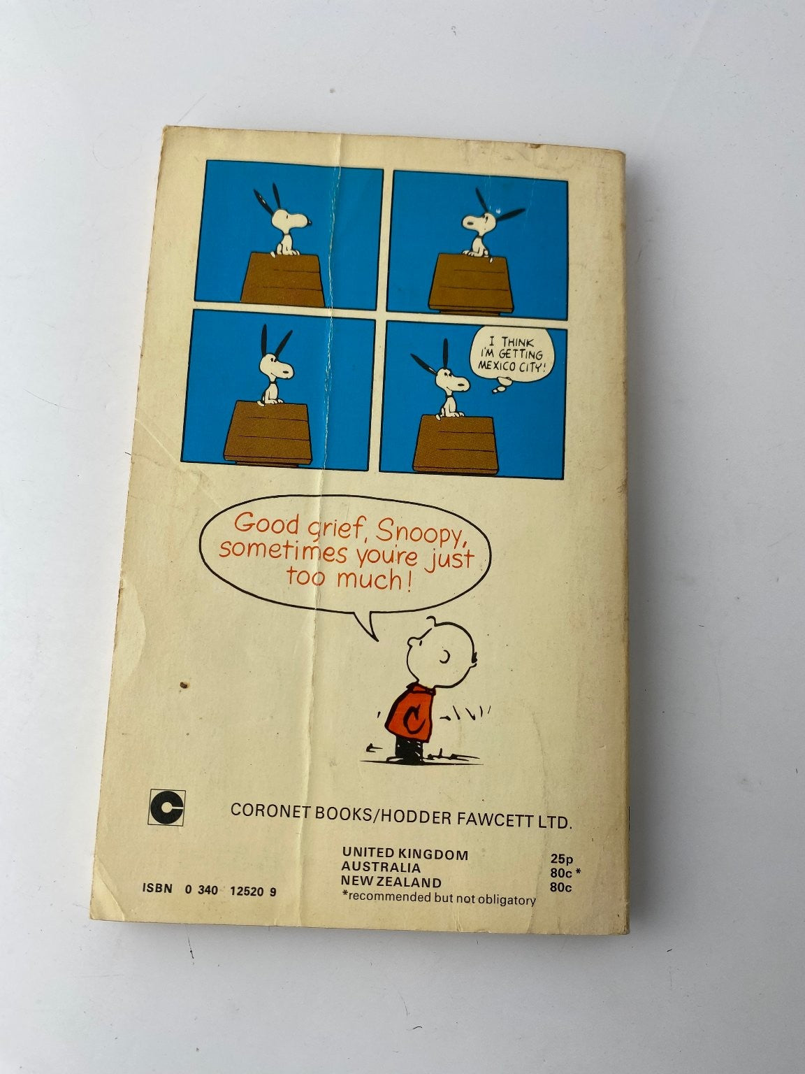 Charlie Brown and Snoopy by Charles M. Schulz 1971 Illustrated Edition