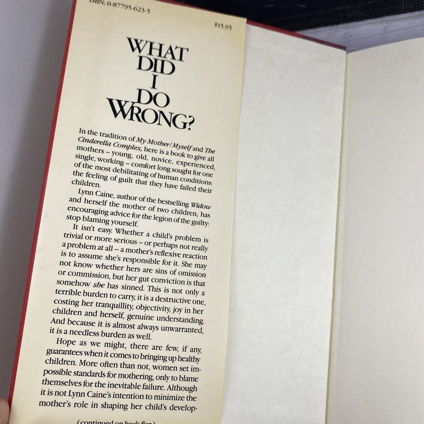 "What Did I Do Wrong? Mothers, Children, Guilt" HC book - First Edition Print