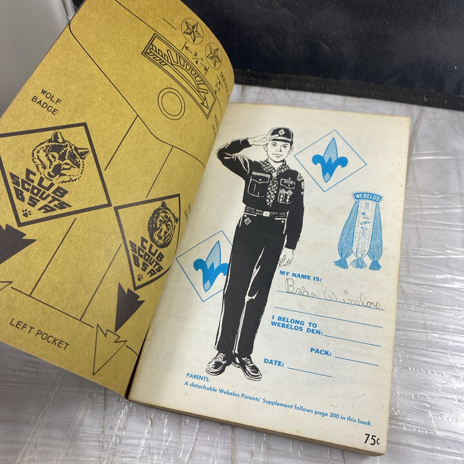 Webelos Scout Book, 1969 Boy Scouts of America Vintage Nature DIY Minimal Marks