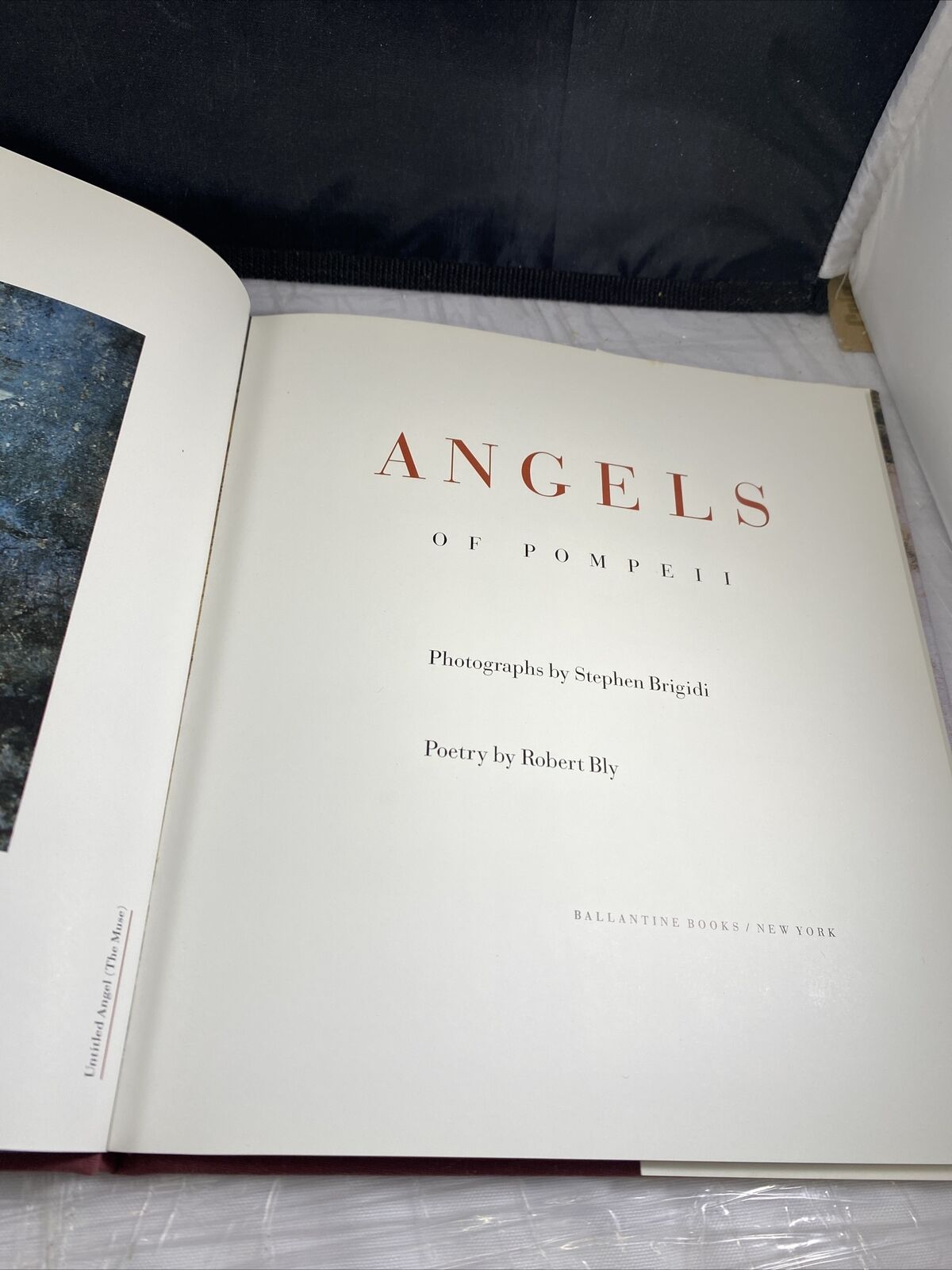 Angels of Pompeii Hardcover Robert, Brigidi, Stephen Bly Vintage Poetry Art Book